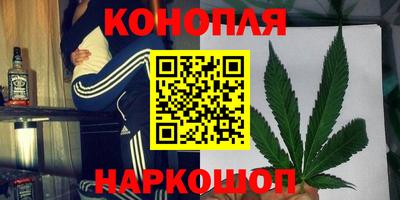 твердый Камышлов