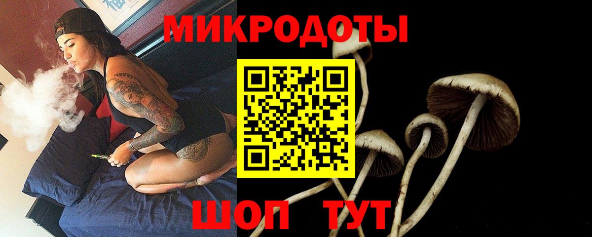 Галлюциногенные грибы Cubensis Алапаевск